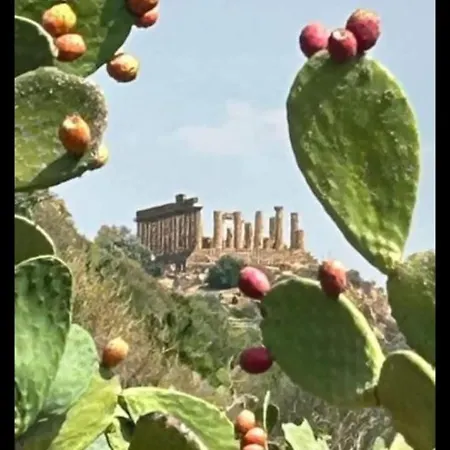 Dareb Vista Mare Guest house Agrigento