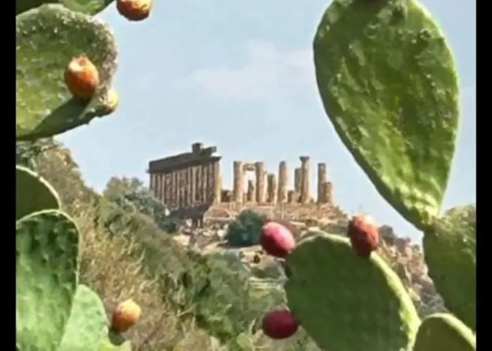 Dareb Vista Mare Guest house Agrigento